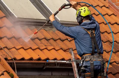 Démoussage et hydrofuge de toiture à Lascelle
